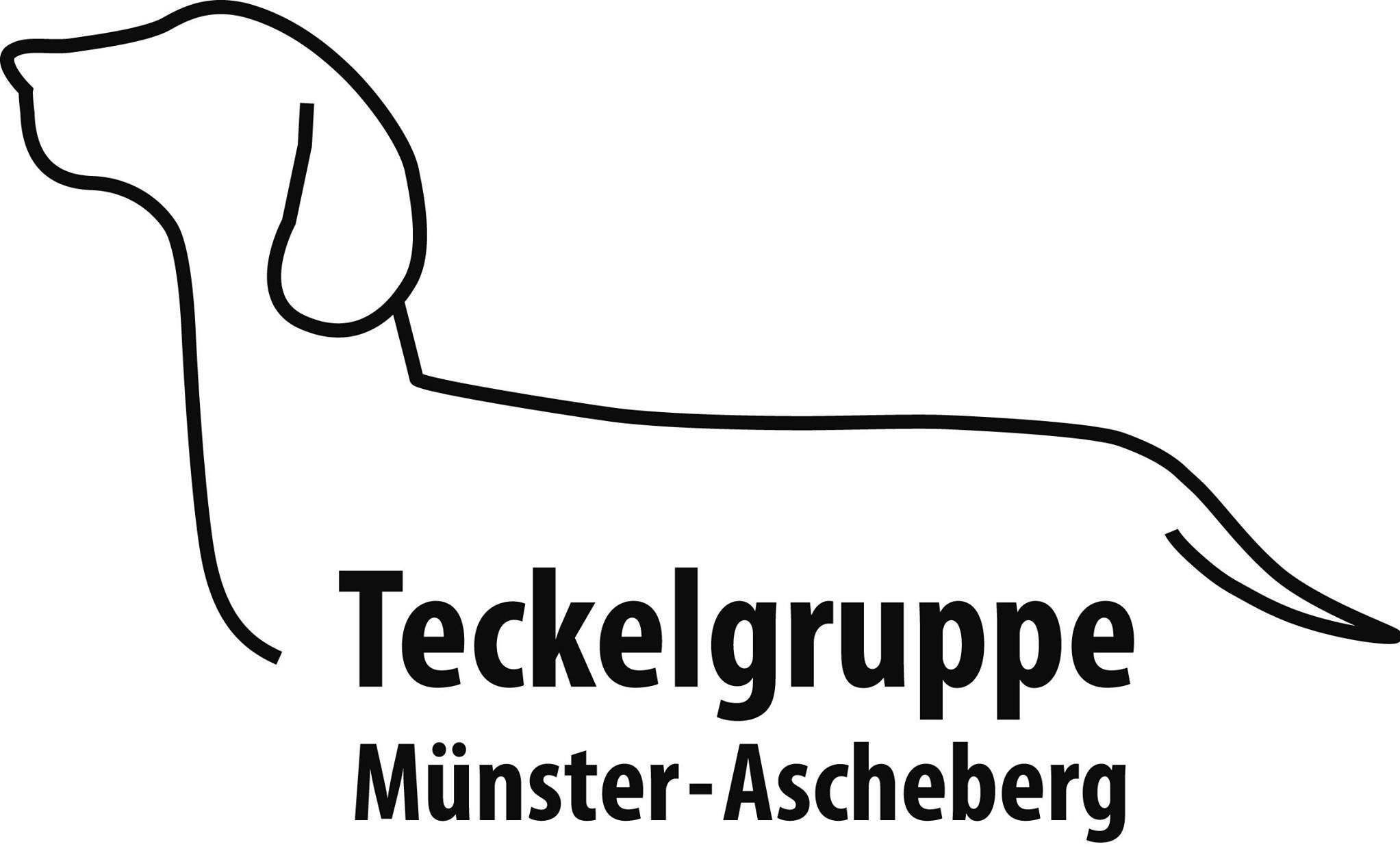Teckelgruppe Münster-Ascheberg 
